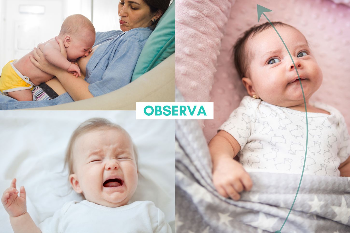 Tensión dural en bebés: un enfoque osteopático holístico
